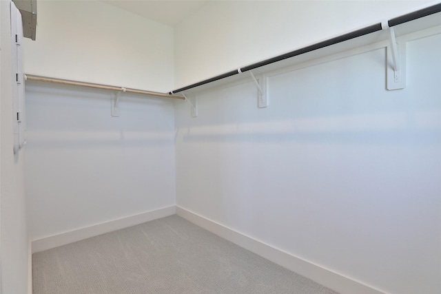 walk in closet featuring light colored carpet