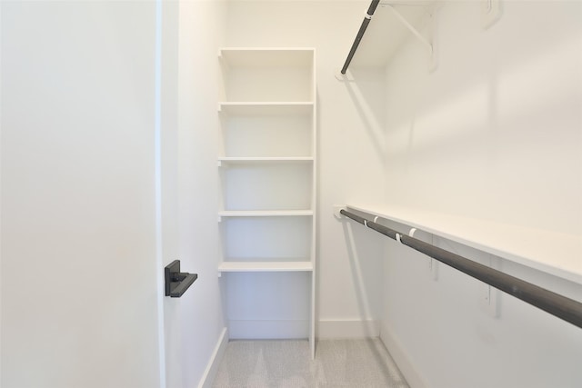 spacious closet with light colored carpet