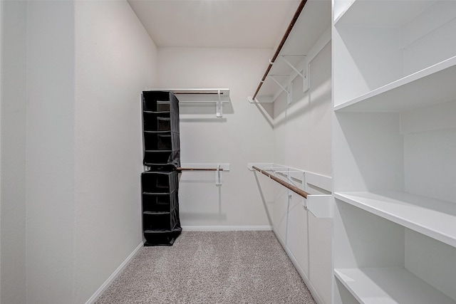 walk in closet with light carpet