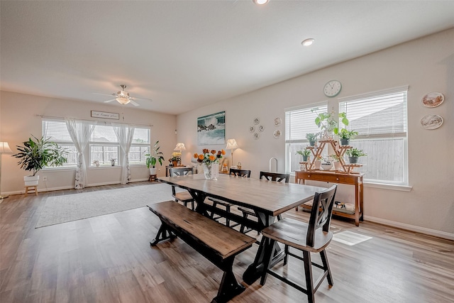 dining area with light hardwood / wood-style flooring and ceiling fan