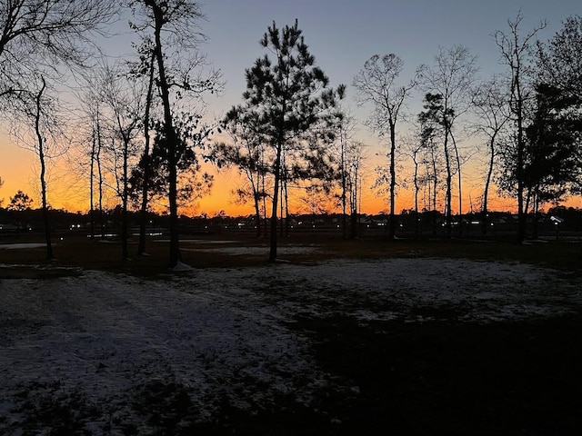 view of yard at dusk