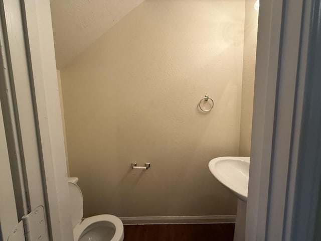 bathroom with wood-type flooring and toilet