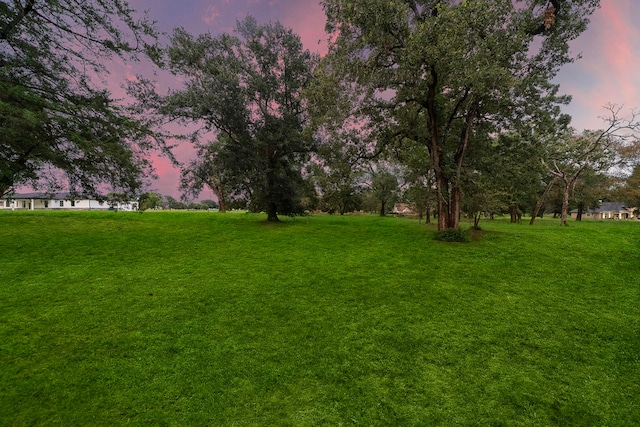 view of yard at dusk