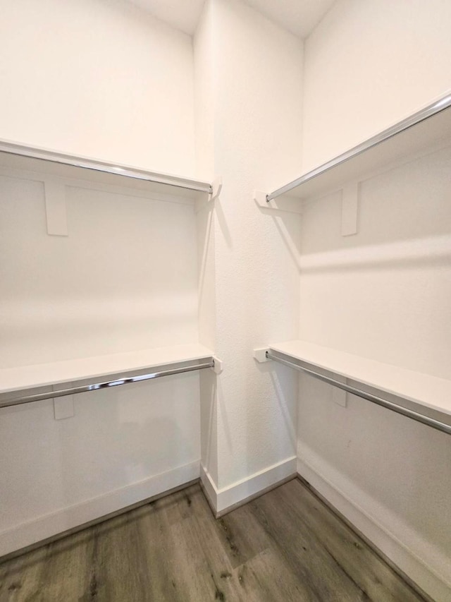 walk in closet featuring dark hardwood / wood-style flooring