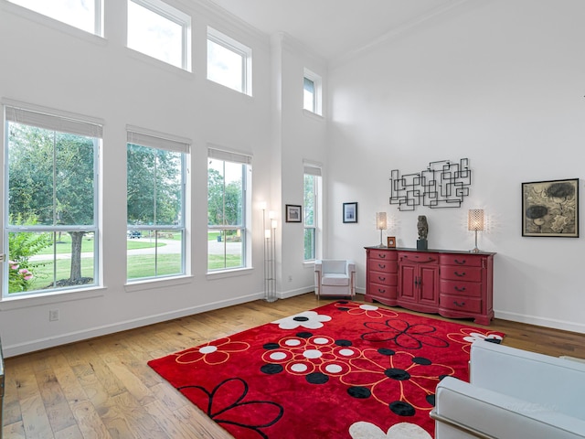 living room with hardwood / wood-style flooring and a towering ceiling