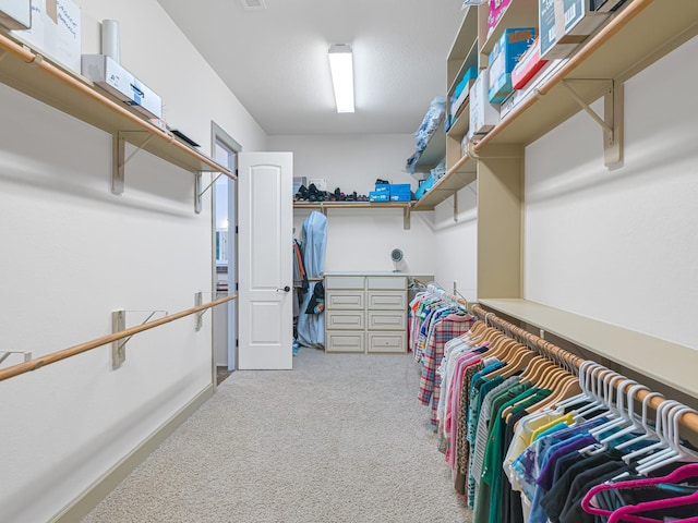 spacious closet with light carpet