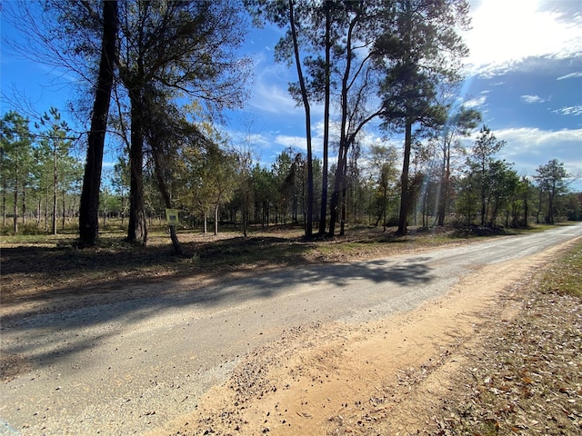 00 County Road 2650, Livingston, TX 77327 - photo 4