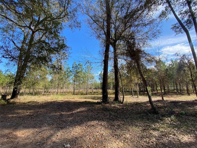 00 County Road 2650, Livingston, TX 77327 - photo 5