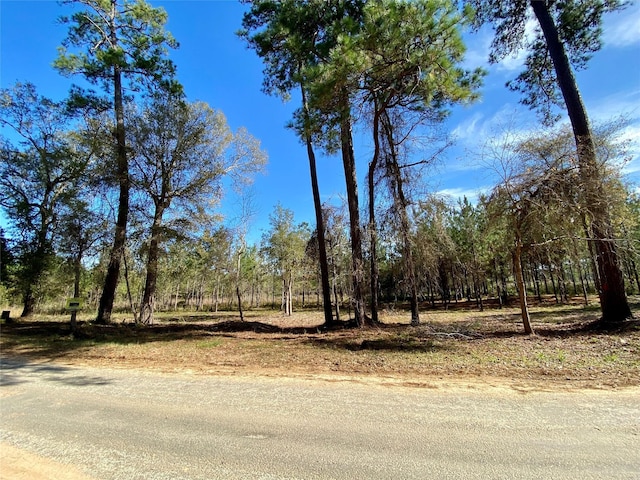 00 County Road 2650, Livingston, TX 77327 - photo 6
