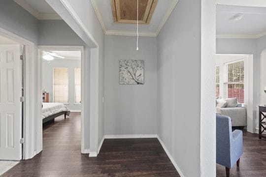 hall with crown molding and dark wood-type flooring