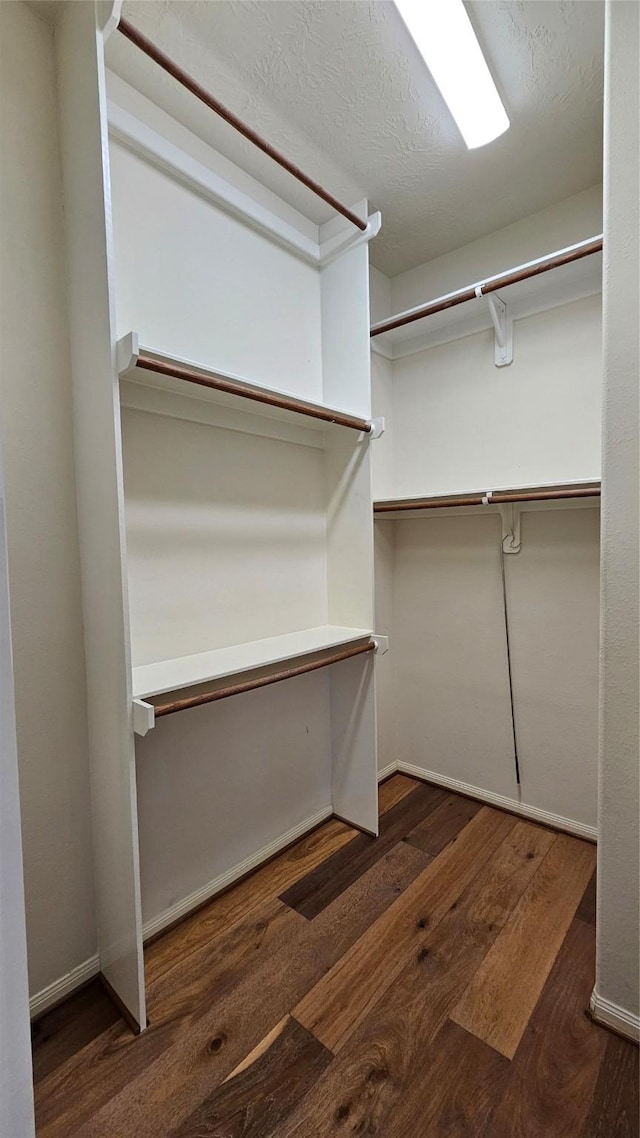 spacious closet featuring dark wood-type flooring