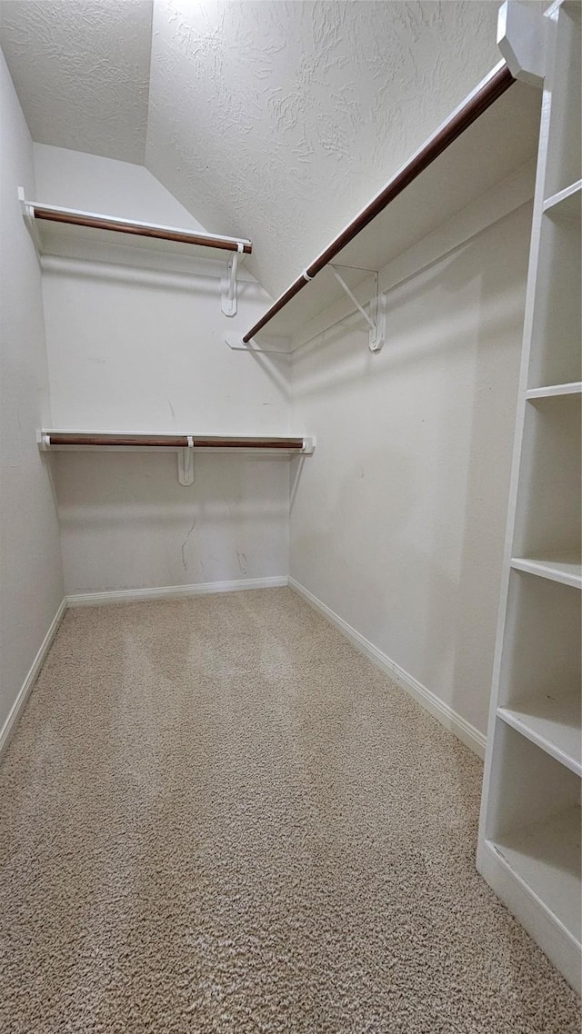 spacious closet with carpet