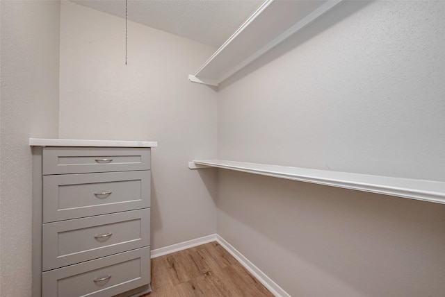 spacious closet featuring light hardwood / wood-style flooring