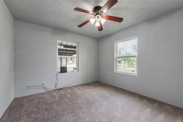 carpeted empty room featuring a textured ceiling, ceiling fan, and a textured wall