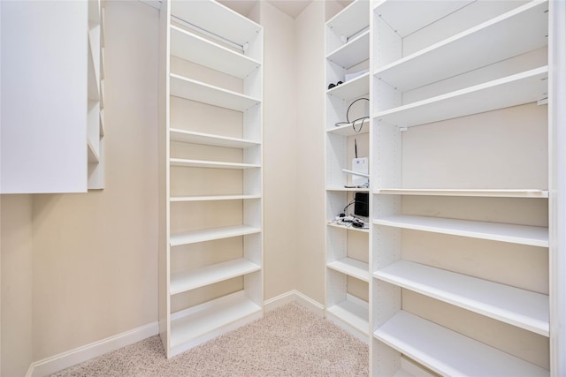 walk in closet with carpet flooring