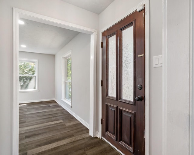 foyer entrance featuring dark hardwood / wood-style flooring