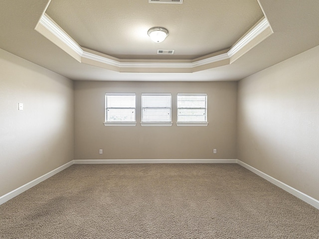 carpeted spare room featuring a raised ceiling, crown molding, and a healthy amount of sunlight