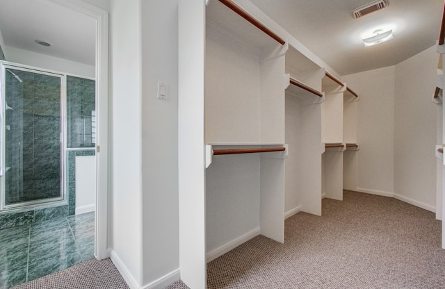 spacious closet featuring light colored carpet