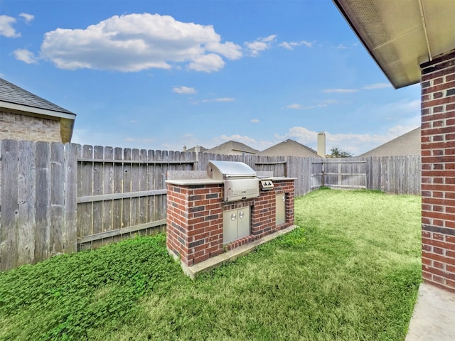 view of yard featuring an outdoor kitchen