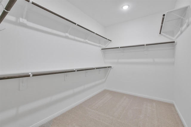 walk in closet featuring carpet floors