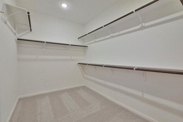 walk in closet featuring carpet flooring