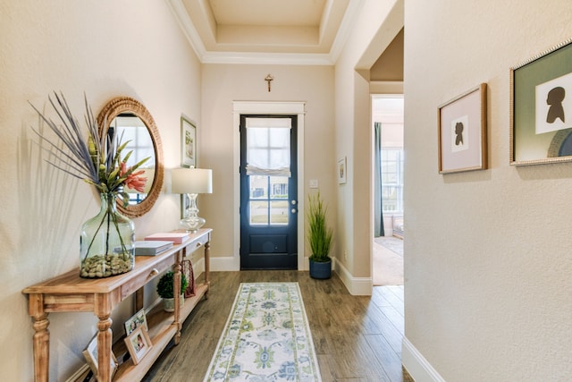 entrance foyer with hardwood / wood-style flooring, ornamental molding, and a tray ceiling