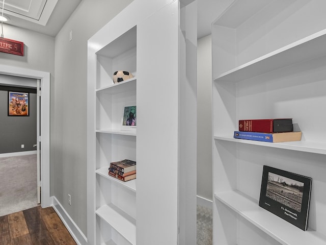 spacious closet featuring dark hardwood / wood-style flooring