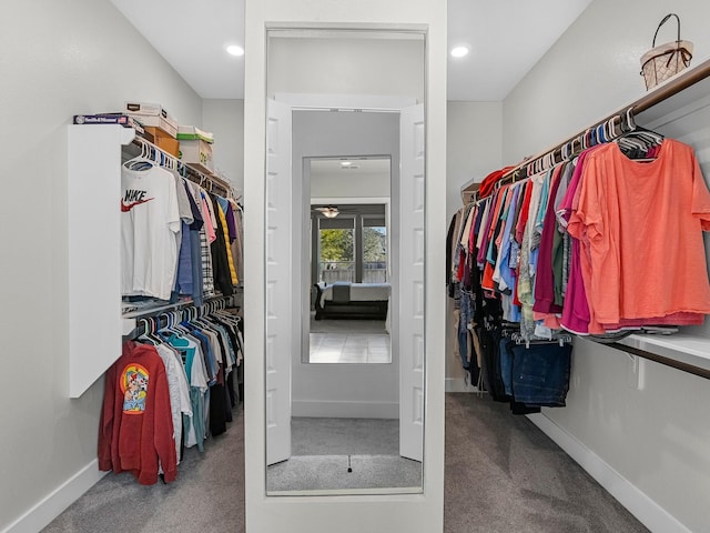 walk in closet with carpet flooring