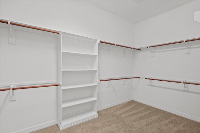 walk in closet featuring light colored carpet