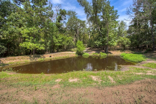 81 Fm 3454th Rd, Huntsville, TX 77320 - water view