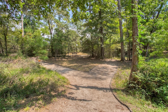81 Fm 3454th Rd, Huntsville, TX 77320 - view of street