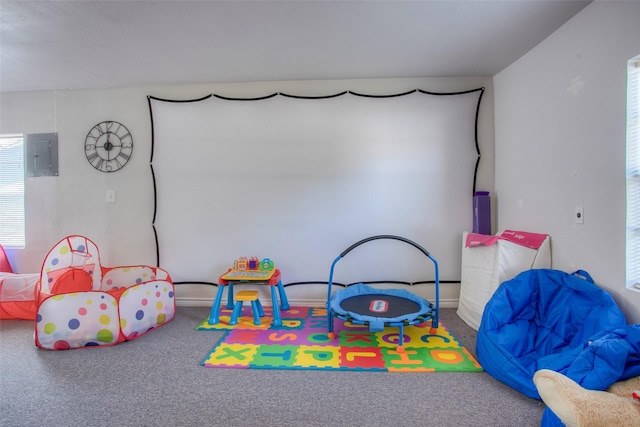 81 Fm 3454th Rd, Huntsville, TX 77320 - recreation room with carpet and electric panel