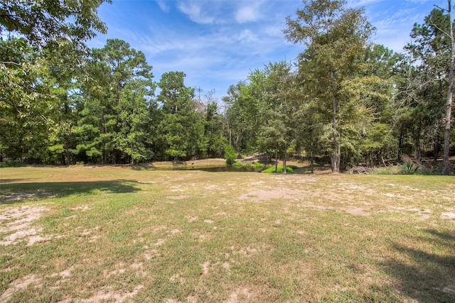 81 Fm 3454th Rd, Huntsville, TX 77320 - view of grassy yard