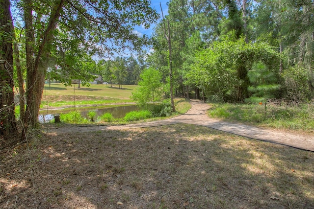 81 Fm 3454th Rd, Huntsville, TX 77320 - view of green lawn