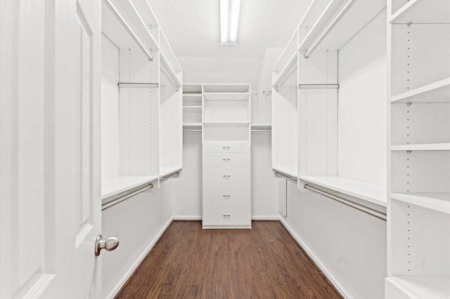 spacious closet with dark wood-type flooring