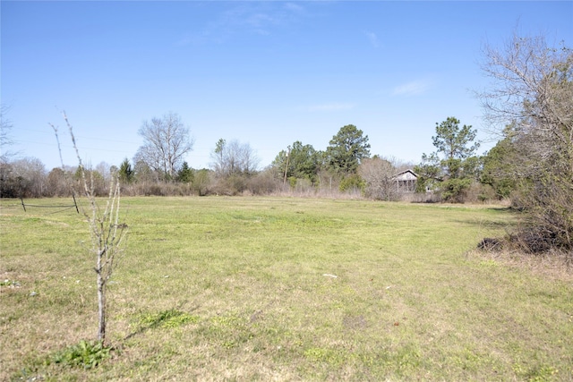 view of yard with a rural view