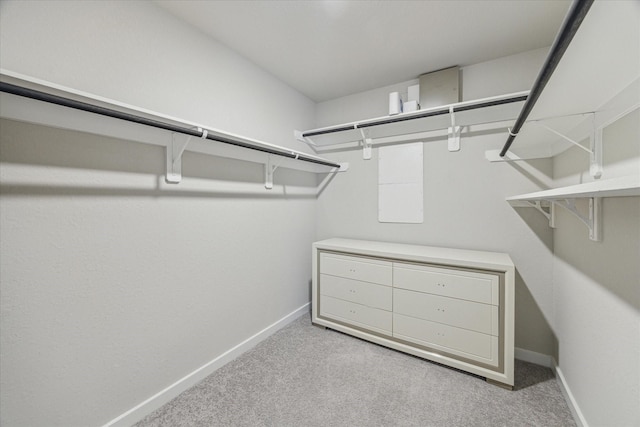 spacious closet with light carpet