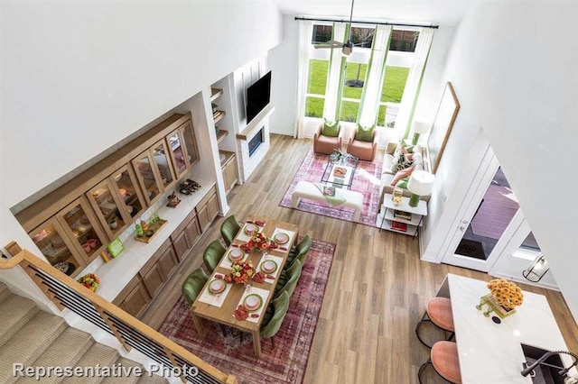 living room with hardwood / wood-style floors and ceiling fan