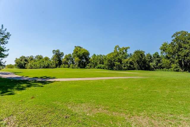 view of property's community with a yard