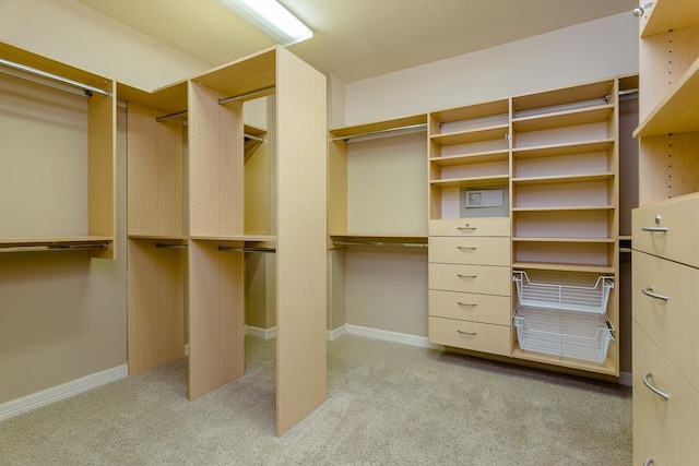 spacious closet featuring light colored carpet