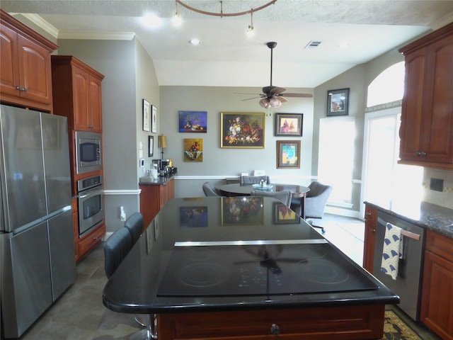 kitchen with ceiling fan, appliances with stainless steel finishes, vaulted ceiling, and a wealth of natural light