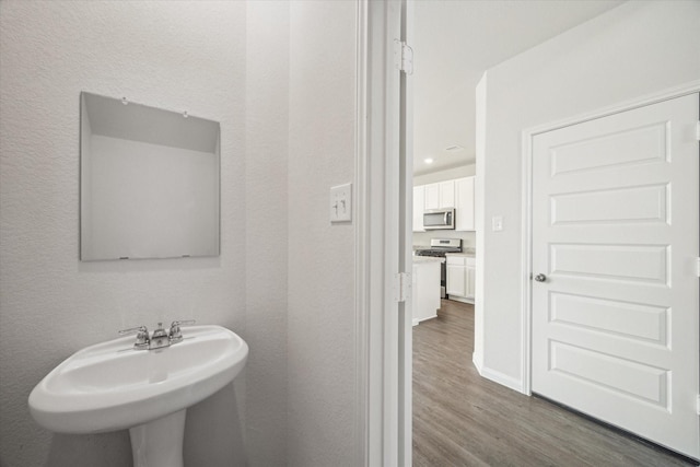 bathroom with wood-type flooring and sink