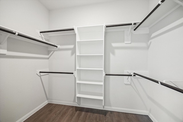 spacious closet featuring dark hardwood / wood-style flooring