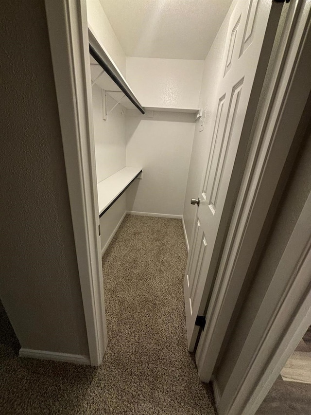 walk in closet with dark carpet