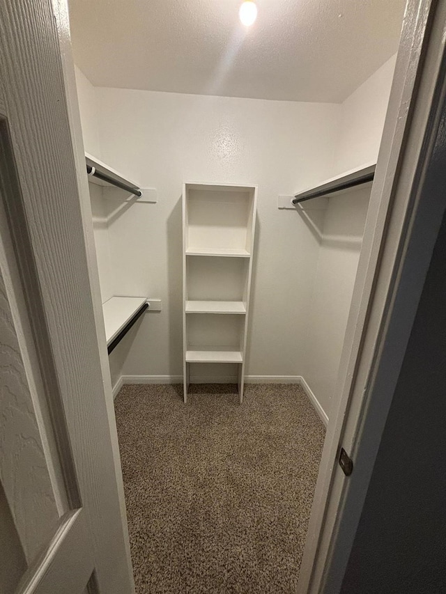 walk in closet featuring dark colored carpet