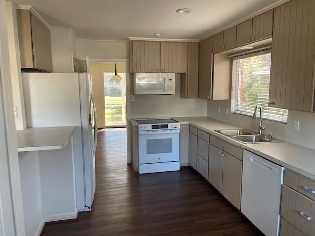 kitchen featuring sink, white appliances, decorative light fixtures, and dark hardwood / wood-style floors