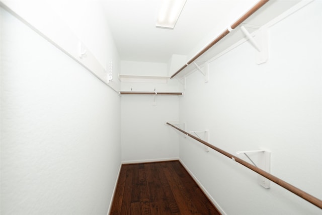 walk in closet featuring dark hardwood / wood-style flooring