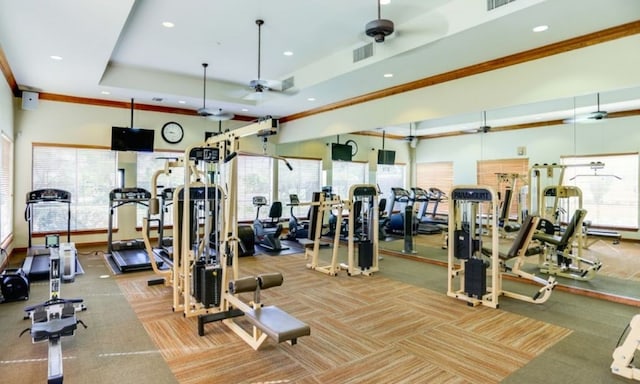 workout area with a healthy amount of sunlight, light colored carpet, ceiling fan, and a tray ceiling