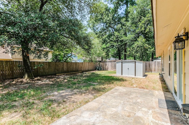 view of yard with a patio and a storage shed