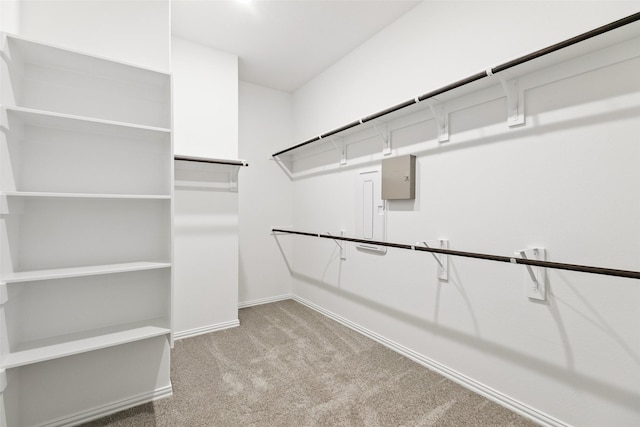 5830 Westwood Shore Dr, Katy, TX 77493 - walk in closet with carpet